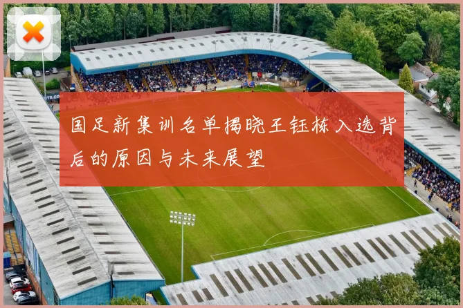 国足新集训名单揭晓王钰栋入选背后的原因与未来展望